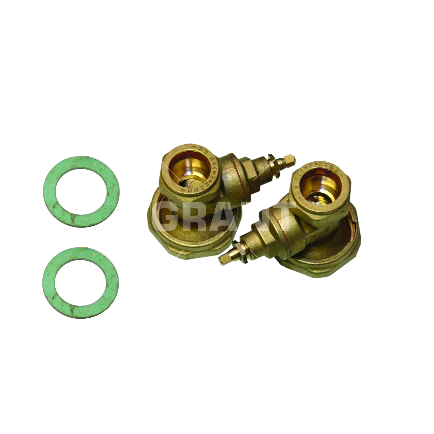 Pump Valve Pair (22mm)