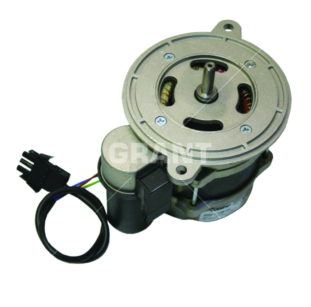 Motor 125W