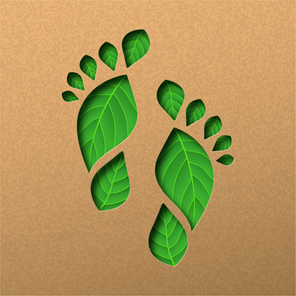 Our Carbon Footprint