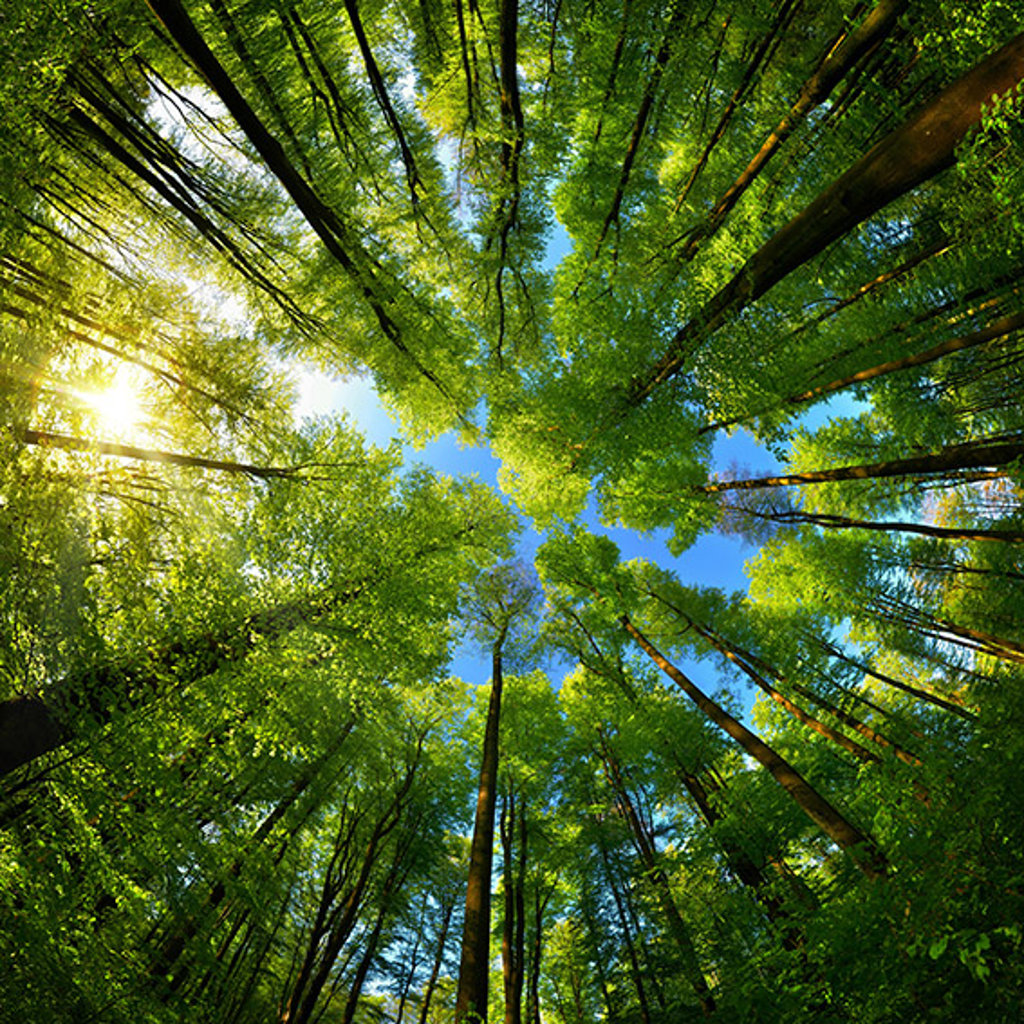 Corporate Social Responsibility Hub