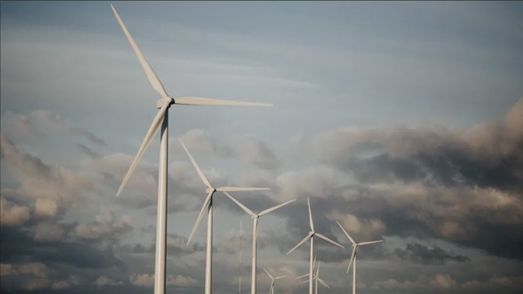 Offsetting Our Carbon